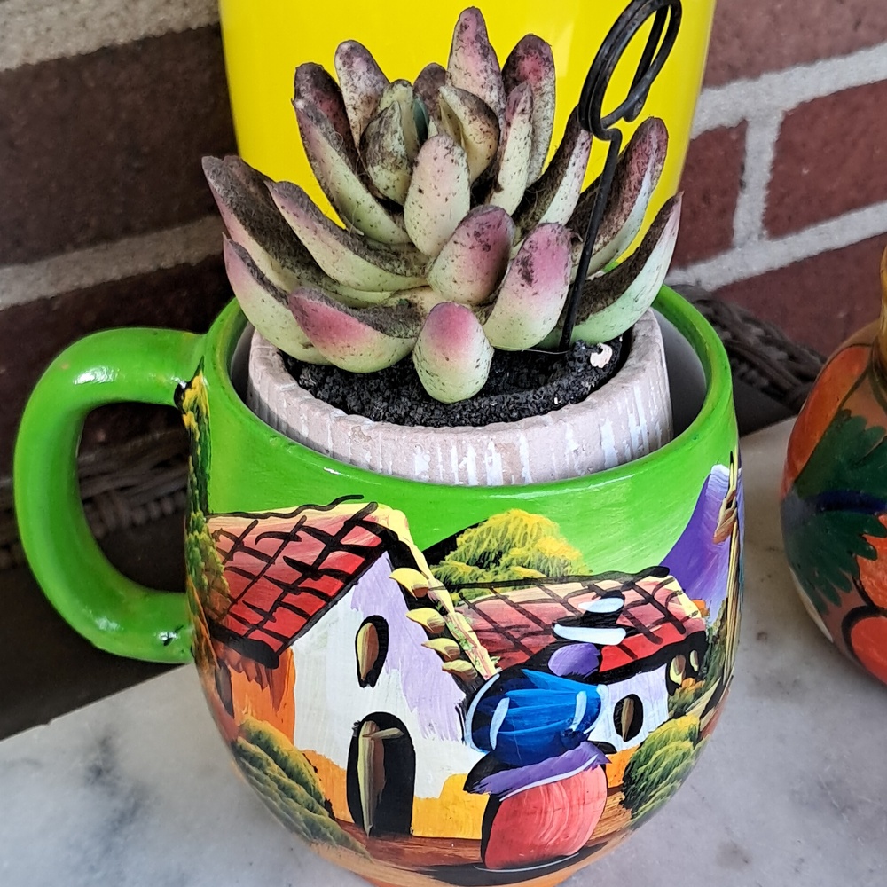 Handmade BolivianmMug Colorful Ceramic Glazed Coffee Cup with fake succulent